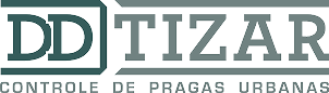 Ddtizar