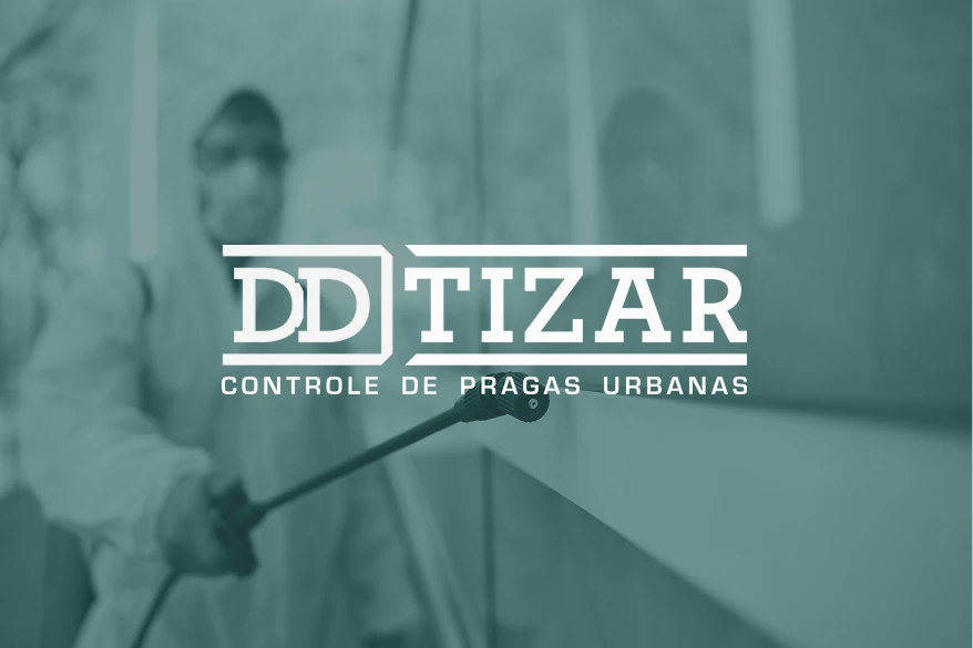 Ddtizar